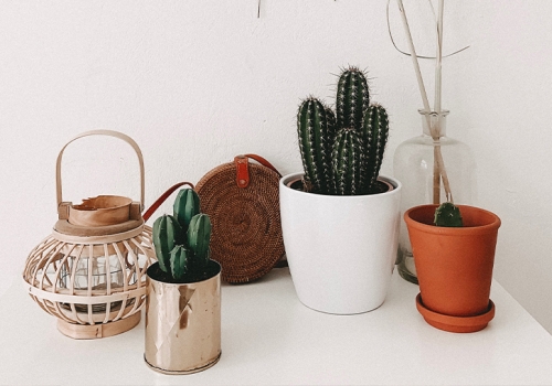 Commodo laoreet semper tincidun	sit