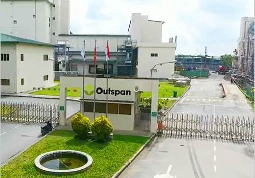 ​NHÀ MÁY CAFÉ OLAM